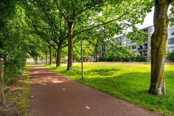 Medium property photo - Van Maarseveenstraat 19, 5042 PK Tilburg